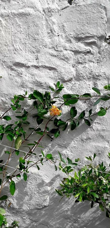 The Star Inn Hayle Luaran gambar
